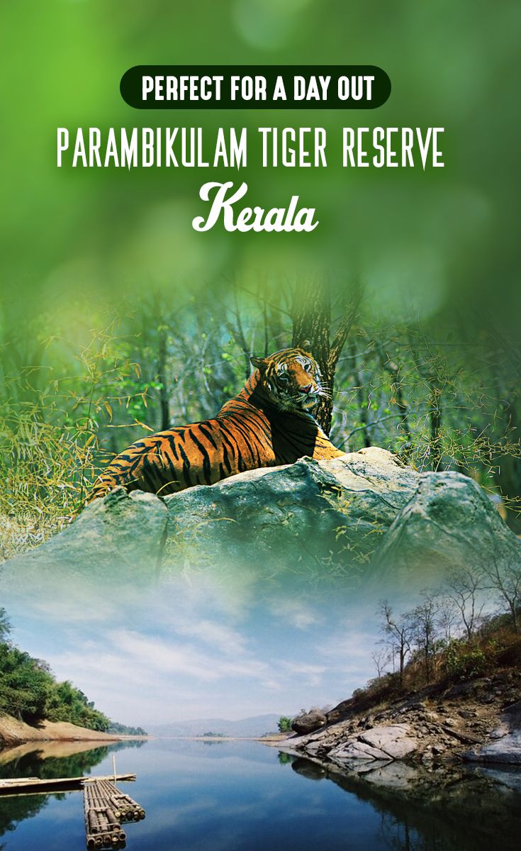 Parambikulam Tiger Reserve - Kerala